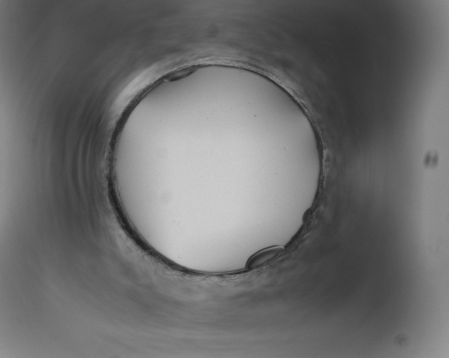 X0000112510007200909071319