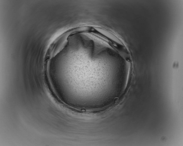 X0000112510008200909071319