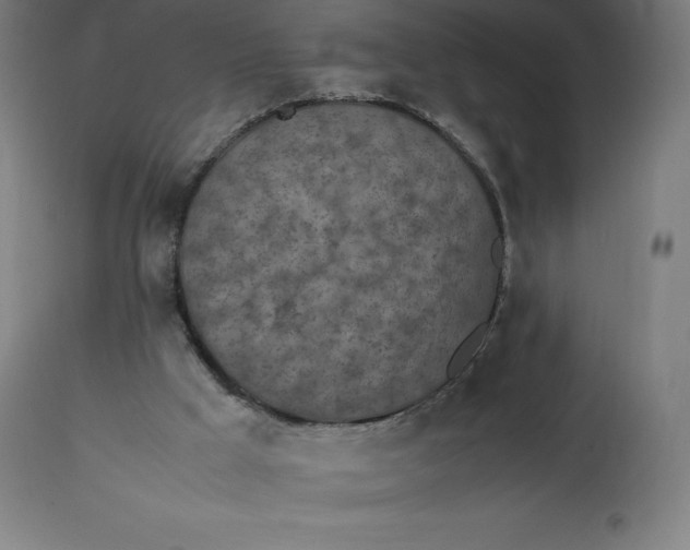 X0000112510009200909071319