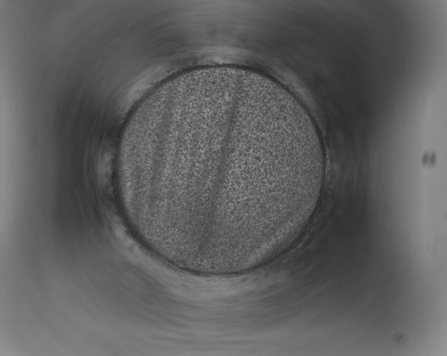 X0000112510010200909071319