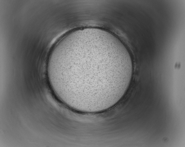 X0000112510012200909071319