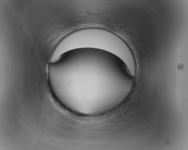 X0000112510013200909071319