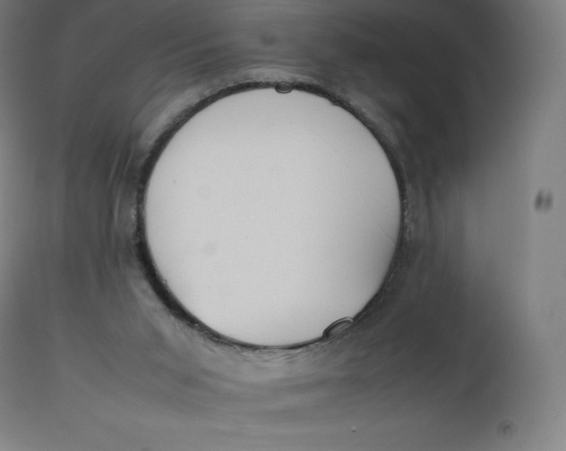 X0000112510015200909071319