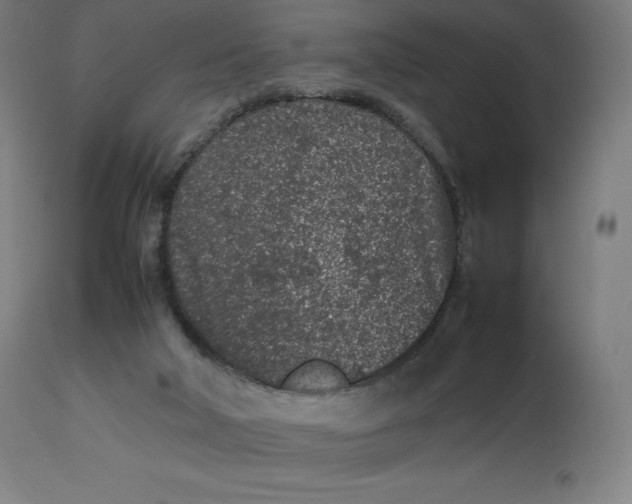 X0000112510018200909071319