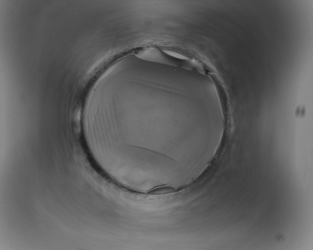 X0000112510019200909071319