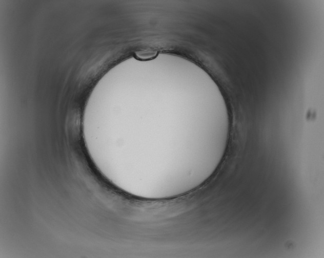 X0000112510021200909071319