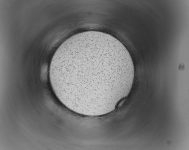 X0000112510024200909071319