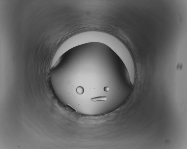 X0000112510025200909071319