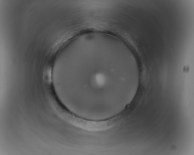 X0000112510027200909071319