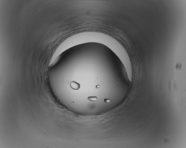 X0000112510029200909071319