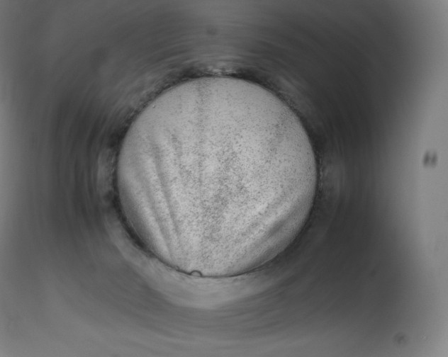 X0000112510030200909071319