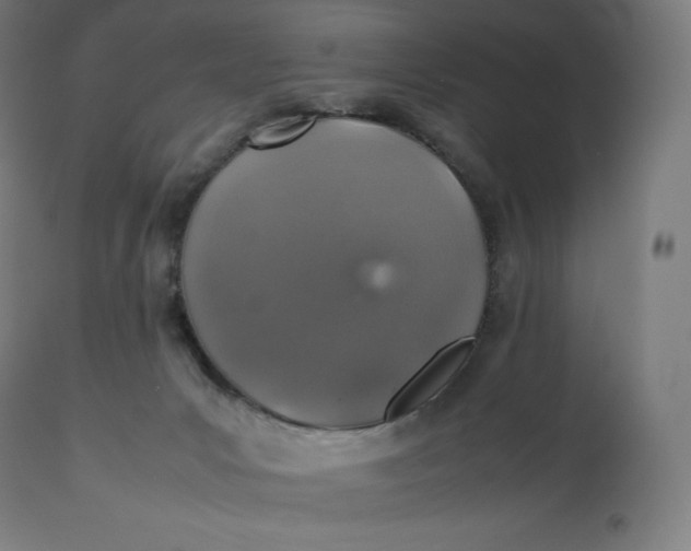 X0000112510031200909071319