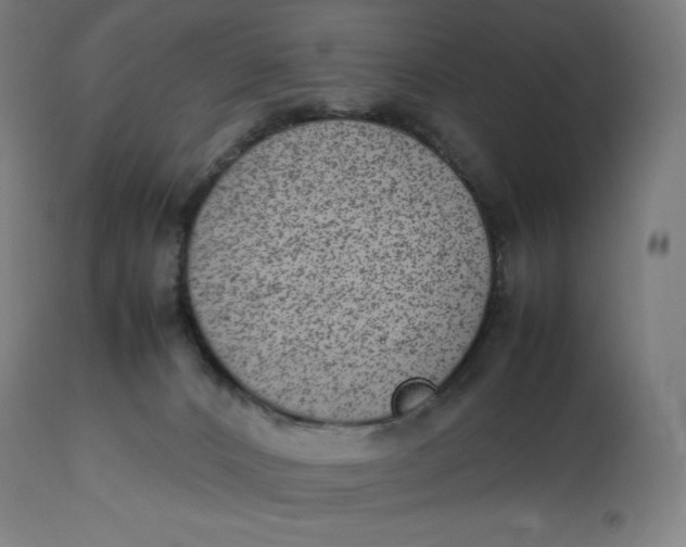 X0000112510032200909071319