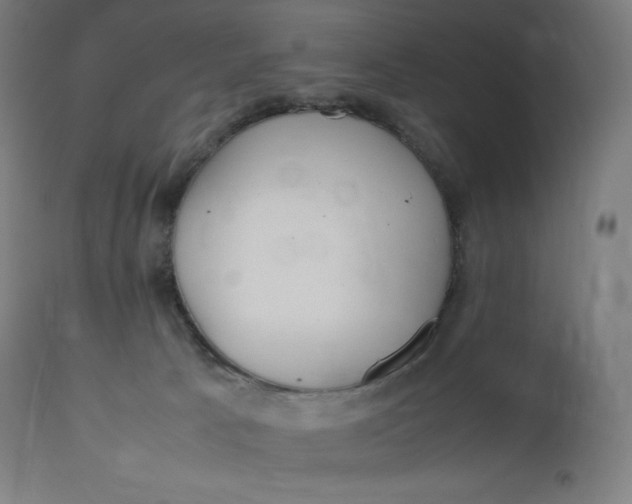 X0000112510033200909071319