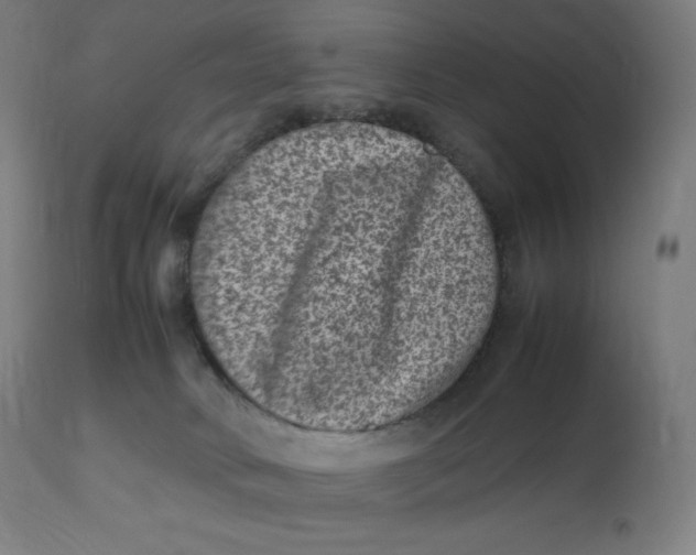 X0000112510034200909071319