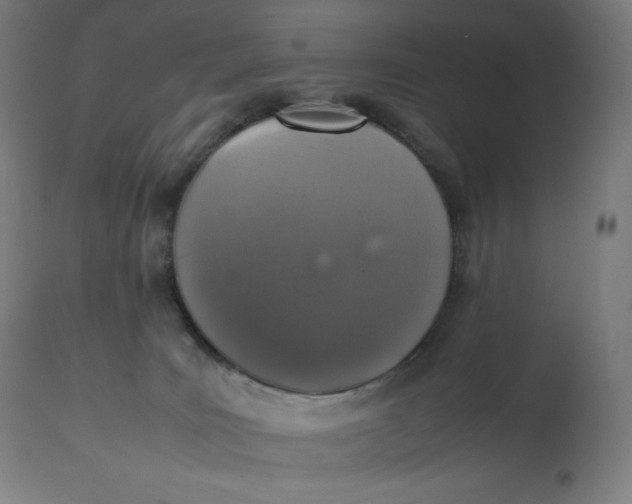 X0000112510035200909071319