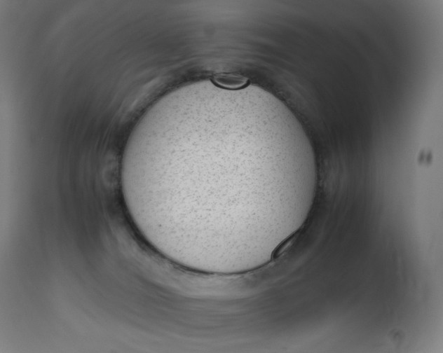 X0000112510036200909071319