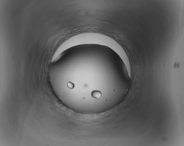 X0000112510037200909071319