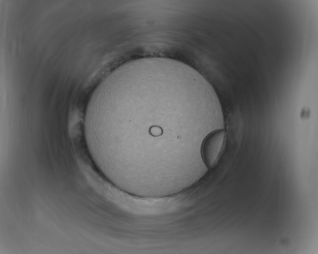 X0000112510038200909071319