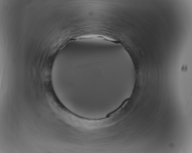 X0000112510039200909071319