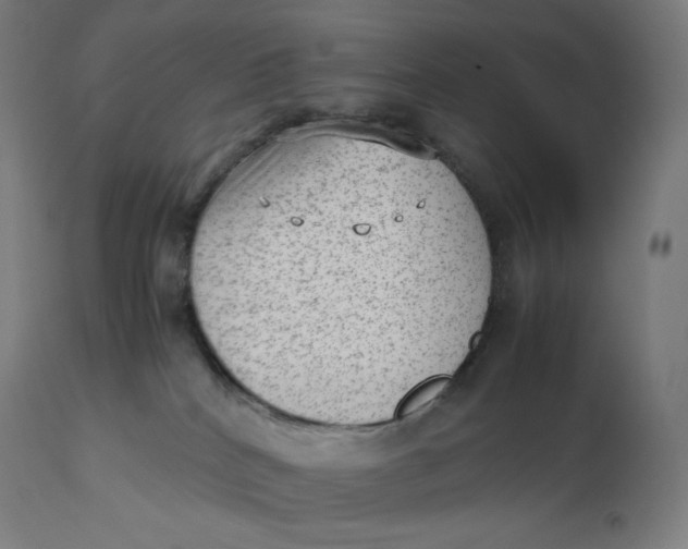 X0000112510040200909071319