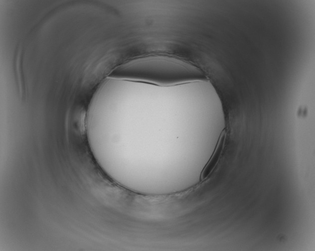 X0000112510041200909071319