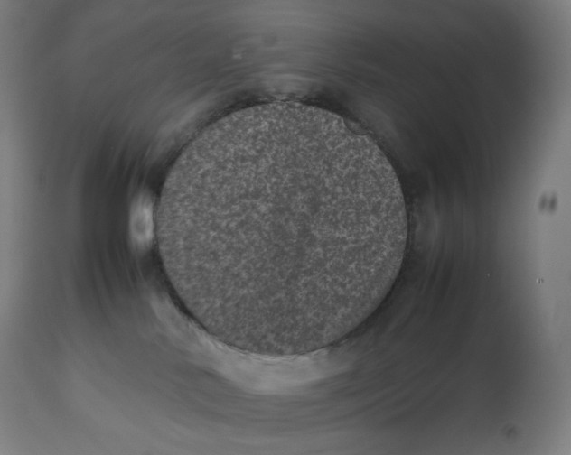 X0000112510042200909071319