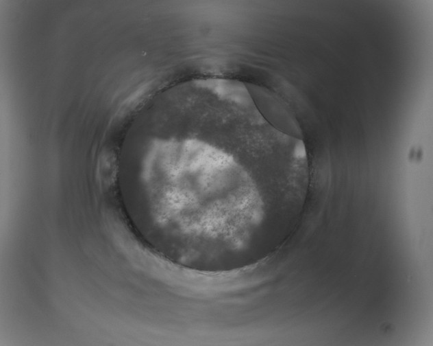 X0000112510043200909071319