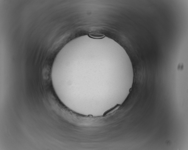 X0000112510044200909071319