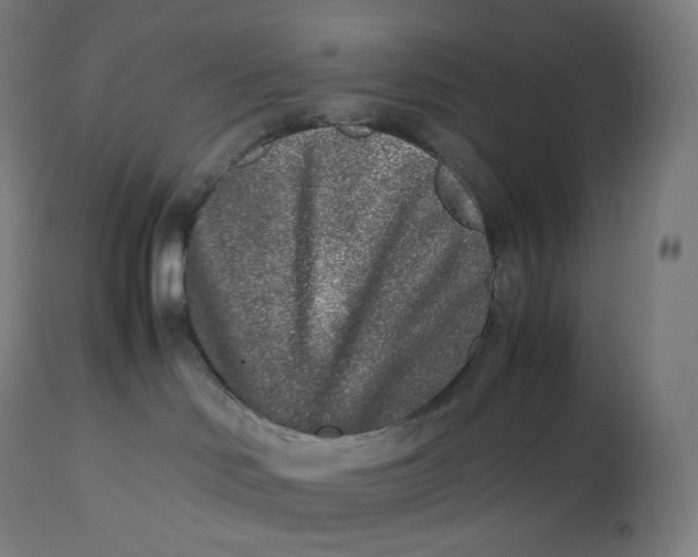 X0000112510046200909071319