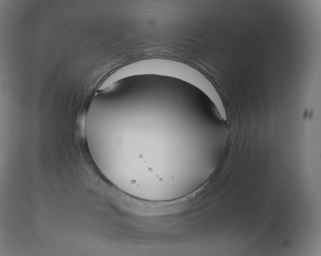 X0000112510047200909071319