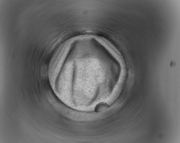 X0000112510048200909071319