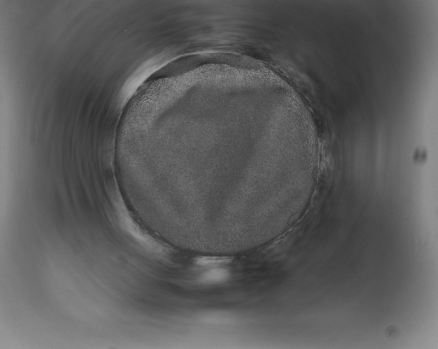 X0000112510051200909071318