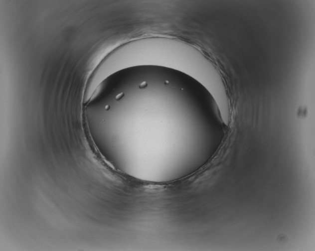 X0000112510052200909071318