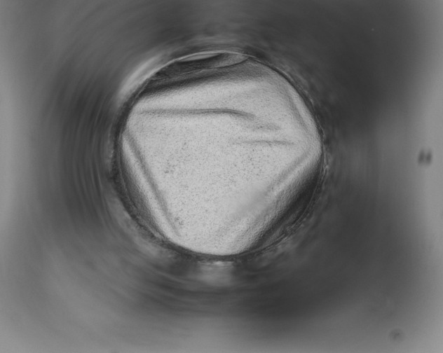 X0000112510053200909071318