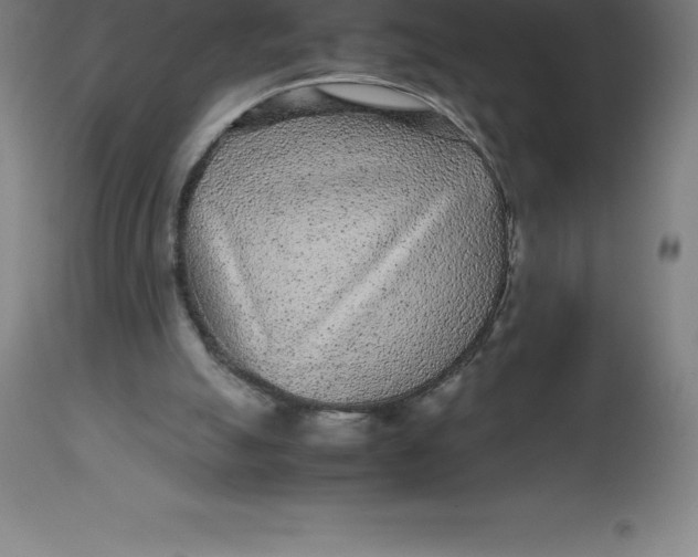 X0000112510055200909071318