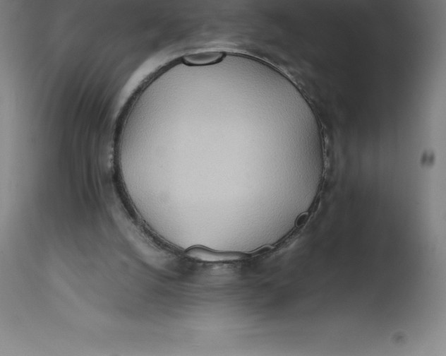 X0000112510056200909071318