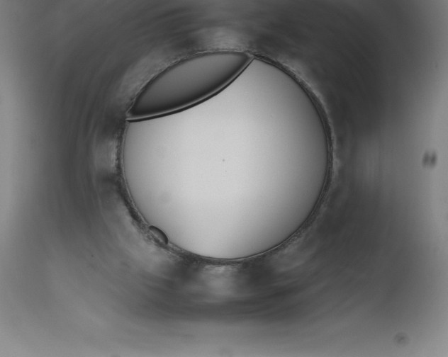 X0000112510057200909071318