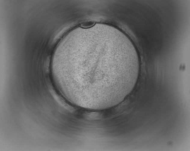 X0000112510058200909071318