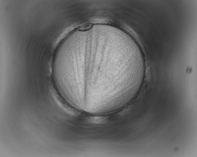 X0000112510059200909071318