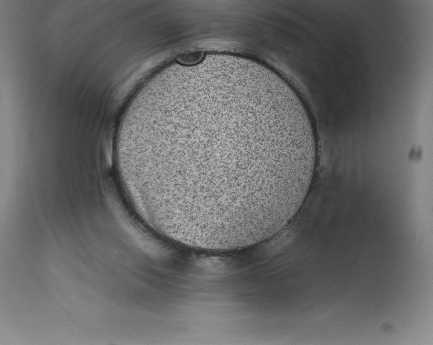 X0000112510062200909071318