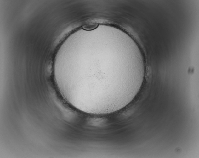 X0000112510063200909071318