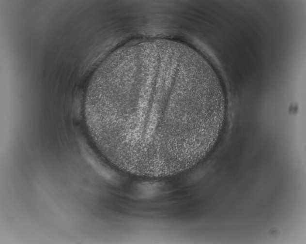 X0000112510065200909071318