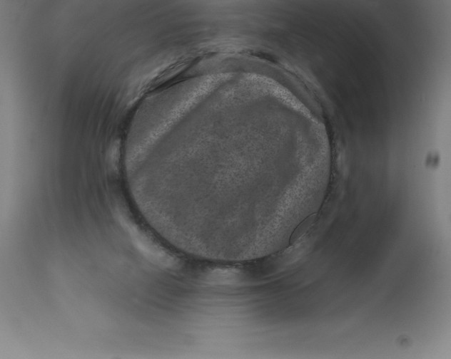 X0000112510066200909071318