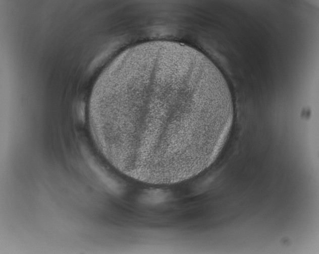 X0000112510067200909071318