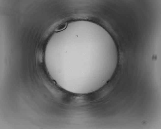 X0000112510068200909071318