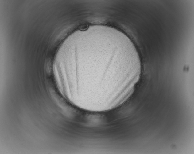 X0000112510069200909071318