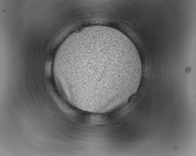 X0000112510070200909071318