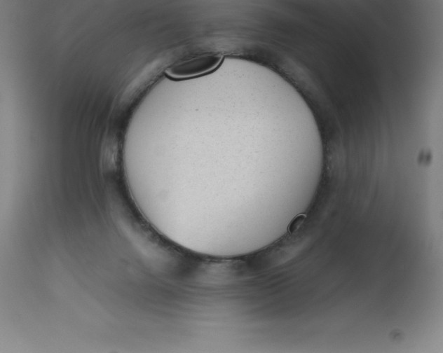 X0000112510072200909071318