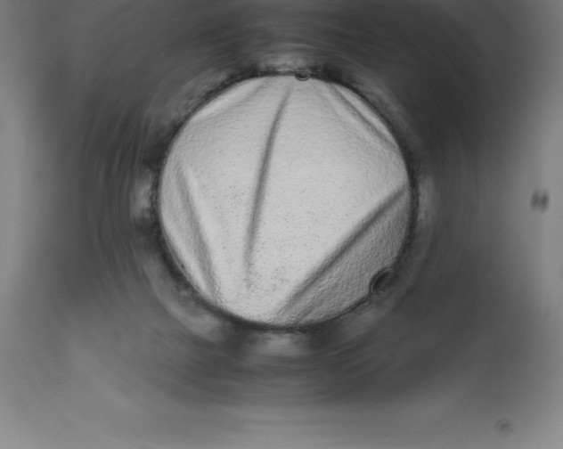 X0000112510073200909071318